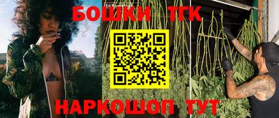 ешки Сланцы